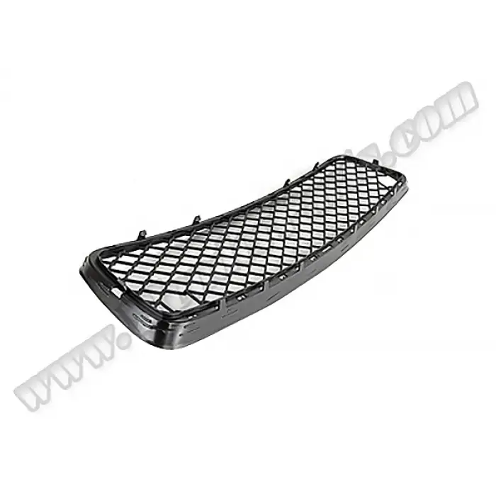 Tampon Izgarası X5:E70 Ön Alt Orta; Siyah 2007-09