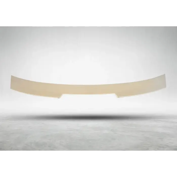 Tavan Spoyleri F22+LCI -///M2-STYLE-