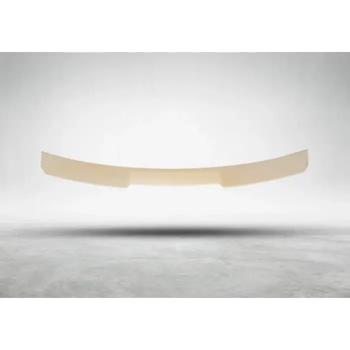 Tavan Spoyleri G20 -///M-