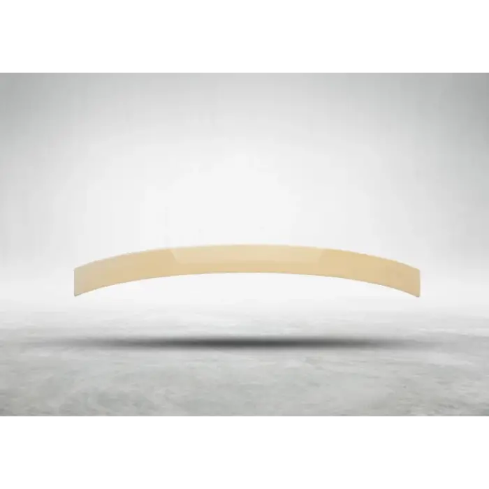 Tavan Spoyleri G22+LCI