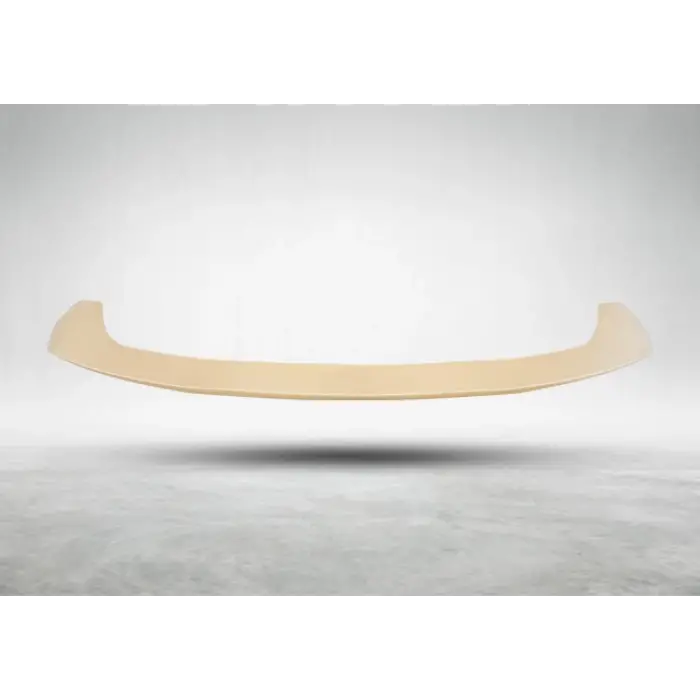 Tavan Spoyleri X4:G02