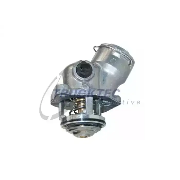 Termostat M272 [W203 W204 W211 W221] 100C