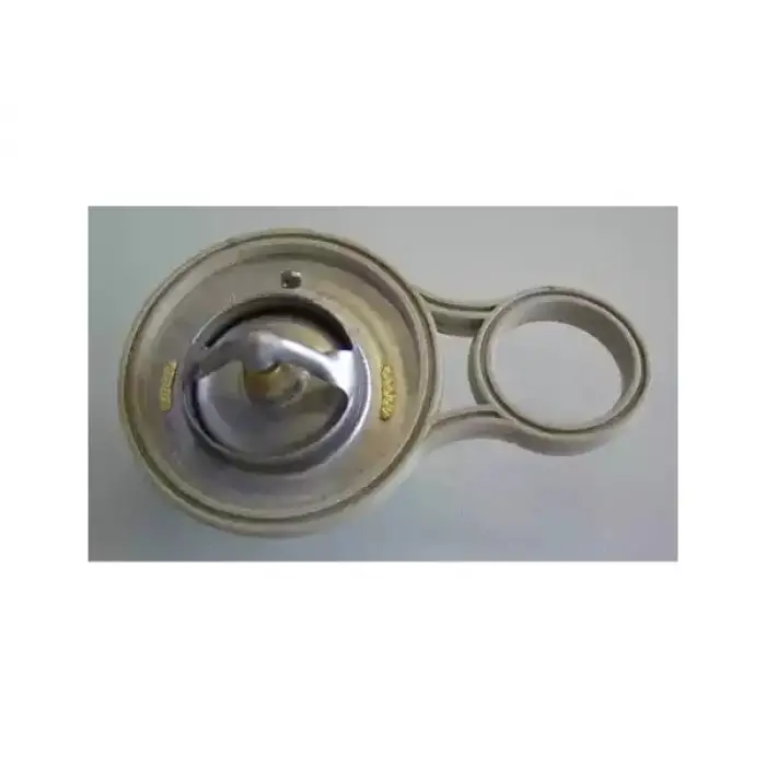 Termostat W10 W11 [Mini-R50>R53] 91C