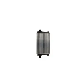 VW Amarok (2HA, 2HB, S1B, S6B, S7A, S7B) 2.0TDI 2010-2013 Turbo Radyatörü Intercooler 618X400X30 2H0145804D Wisco