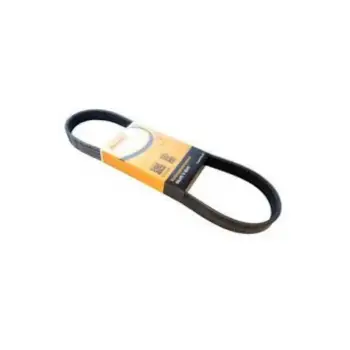 Volkswagen Polo 1.6 1.6 96 99 Arası Uyumlu V Kayışı 6PK751 CONTI