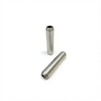 R25 R50 Supap Gaydı 24010411829 TRW