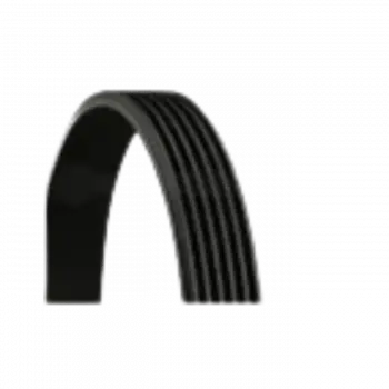 Kayış CNT-6PK2585 ContiTec