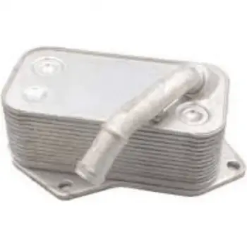 BMW E60 E87 E90 X5:E70 X6:E71 F10 F01 Motor Yağ Radyatörü N52 N N53 11427525333 Wender