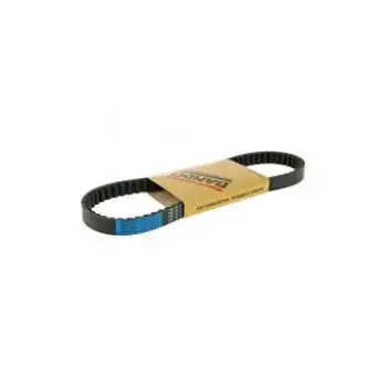 Universal V Kayisi 10X875 Dayco