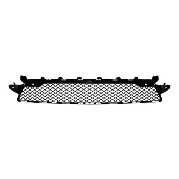 Mercedes C218 2011-2013 Tampon Izgarası Ön Orta AMG 2188851765 Wender
