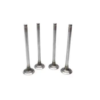 Opel Ascona C Astra F G Kadett D E Vectra A 1.6 D 1.7 TD 16D 16DA 1981- Subap Egzost