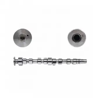 SKODA VW GOLF4 GOLF5 GOLF6 POLO3 POLO4 POLO5 Caddy Bora Audi A2 Seat Leon Ibiza Toledo Eksantrik Mili 036109101AA Wisco