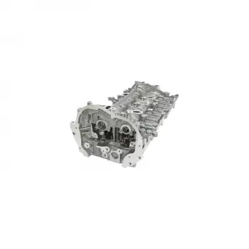 Nissan Navara (D23) YS23 Mercedes OM699 220D 250D Opel Movano B Renault Master III Silindir Kapağı 1104100Q2L Wisco