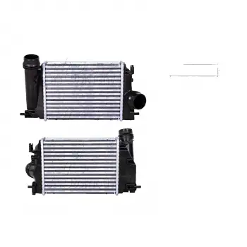 Renault Megane 4 1.5 DCI 15>/ Talisman 1.5 DCI 15>/ Kadjar Turbo Radyatörü Intercooler 282X217X62 144614EA0A Wisco