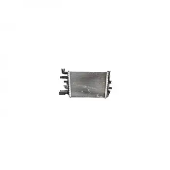 Dacia Duster (hm_) 1.5 Dci 17> Dokker MPV (ke_) 1.5 Blue Dci Turbo Radyatörü Intercooler 350X658X26 214106421R Wisco