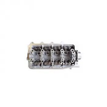 Renault Clio III 1.2 16V D4F 2005- Silindir Kapağı Yagli Kasnak 7701476742 Wisco