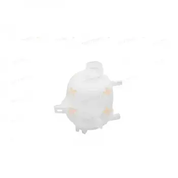 Renault Clio 1998-2012 Megane 1995-2009 Radyatör Yedek Su Deposu Kapaksız 7701468746 Nextpart