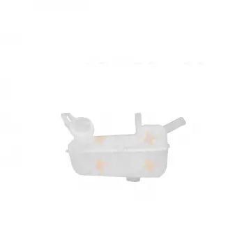 Renault Megane II 2002-2009 Radyatör Yedek Su Deposu Kapaksız 7701474499 Nextpart