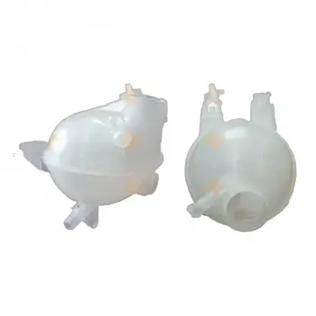 Citroën C-Elysée 2012-2024 C2 2003-2009 Radyatör Yedek Su Deposu Kapaksız 1323.T9 Nextpart