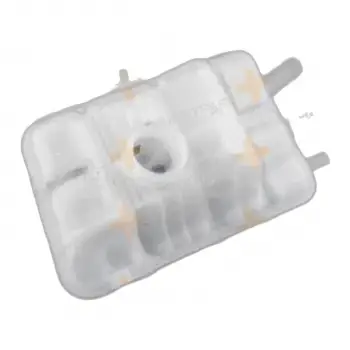 Renault Megane IV 2016-2022 Talisman 2015-2022 Radyatör Yedek Su Deposu Kapaksız 217102781R Nextpart