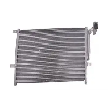 Mini R50 R53 R55 R56 R57 R60 R61 (06-16) Delphi Klima Radyatörü FR 64536941084 Delphi
