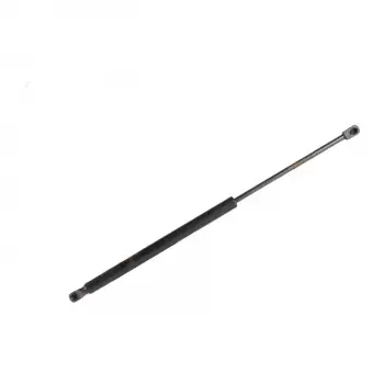 Renault Megane II SW 546mm 455N 2003-2009 Bagaj Amortisoru 8200 119 498 Nextpart