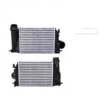 Renault Megane 4 Talisman 2013- Turbo Radyatörü Intercooler 282X217X62 144614EA0A Wisco