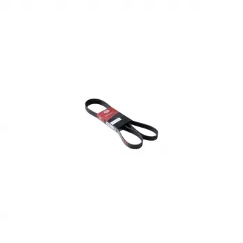 Hyundai Jaguar KIA Mazda V Kayisi 4PK1083RYP Gates