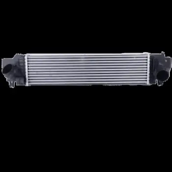 BMW 2 Serisi F45 F46 216I 218I Mini F54 F55 F56 2014-2019 Turbo Radyatörü Intercooler 585X98X95 17517617597 Wisco