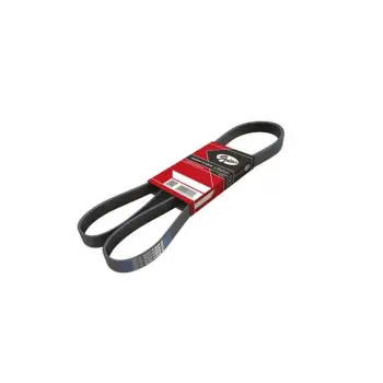 Universal V Kayisi 5PK913RYP Gates