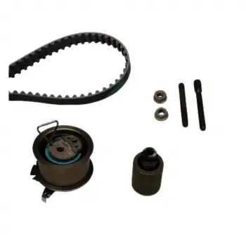 Volkswagen Polo Caddy 2000- Triger Seti 038198119A INA