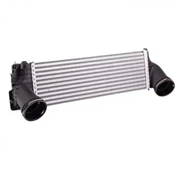 BMW E70 X5 XD F15 X5 Sdrive E71 X6 XD 2007- Turbo Radyatörü Intercooler 525X157X100 1751.7.533.475 Wisco