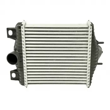 Land Rover Range Rover 4 (L405) SDV6 - SDV8 13>/ Range 2013- Turbo Radyatörü Intercooler 276X278 8X64 LR036432 Wisco