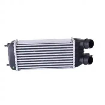 Citroen Jumpy 2007- Fiat Scudo 2007- Turbo Radyatörü Intercooler 300X157X80 8ML376746211 Wisco