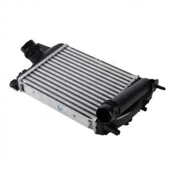 Renault Clio 4 (bh_) Tce Grandtour (kh_) Tce 12> Dacia 2012- Turbo Radyatörü Intercooler 256X217X40 144963014R Wisco