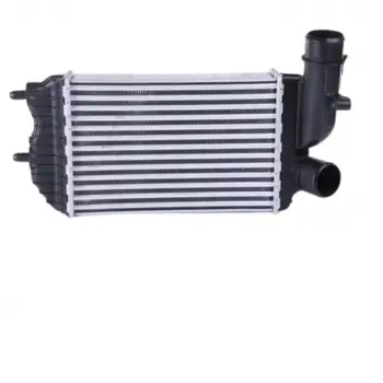 Peugeot Boxer 1994-2002 Citroen Jumper 1994-2002 Turbo Radyatörü Intercooler 295X205X62 1307012080 Wisco