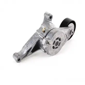 Volkswagen Bora 1998- Audi A3 1998- Alternator Gergi Rulmani Plastik 1253064 Wisco