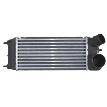 Ford Fiesta 6 (CB1, Ccn) 2008-2012 Fiesta 6 Van 2009- Turbo Radyatörü Intercooler 300X142X80 8V519L440AB Wisco