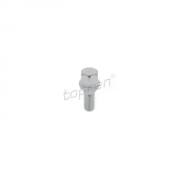 Fiat Grande Punto 2005-2012 Bijon Cıvatası -