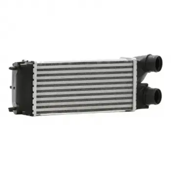 Citroen Berlingo C4 2007- Turbo Radyatörü Intercooler 300X146X80 8ML376777361 Wisco