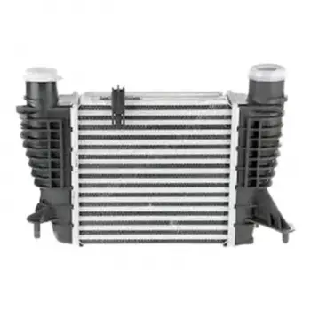 Nissan Juke 2004- Renault Clio 2004- Turbo Radyatörü Intercooler 210X202X64 82 00 170 504 Wisco