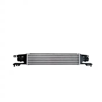 Opel Corsa D VAN 1.3 Cdti 2006- Turbo Radyatörü Intercooler 450X97X50 2110831-22 W