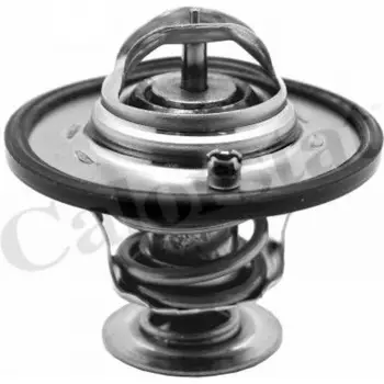 Chevrolet Captiva C140 2.0D LNP 12 2010-2015 Termostat 96868335 GM