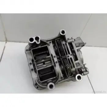 Chevrolet Captiva 2008- Motor Vibrasyon Balans Unitesi 25190604 GM
