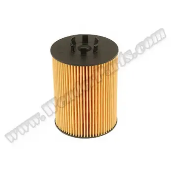 BMW E60 E65 X5:E53 Yağ Filtresi N62 11427511161 DAG