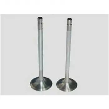 Opel Vectra C 1.9DT 1.9DTI 01 2004-2010 Subap Takimi Emme Egzos 4056-4057 Gunes