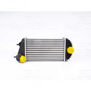 Suzuki Swift 2010- Turbo Radyatörü Intercooler 300X173 1X64 1362068L50 Wisco