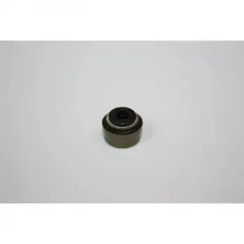 Opel Corsa 2012- Subap Lastigi 55190344 Victor Reinz