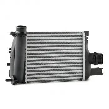Renault Captur 2012- Turbo Radyatörü Intercooler 256X218X62 8ML376988154 Wisco