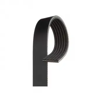 Peugeot Partner V Kayis Kanalli Kayis 6PK1113 6PK1113 Wisco